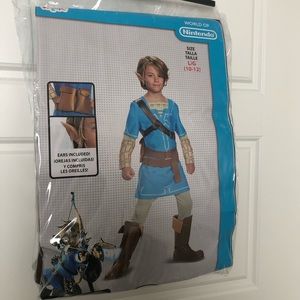 Link Breath of the Wild Costume